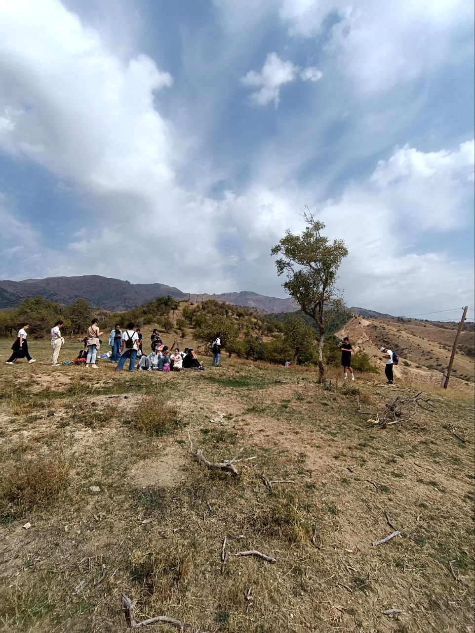 Kuzgi Aqtosh o‘rmoni — Toshkentdan 1 kunlik — photo 3