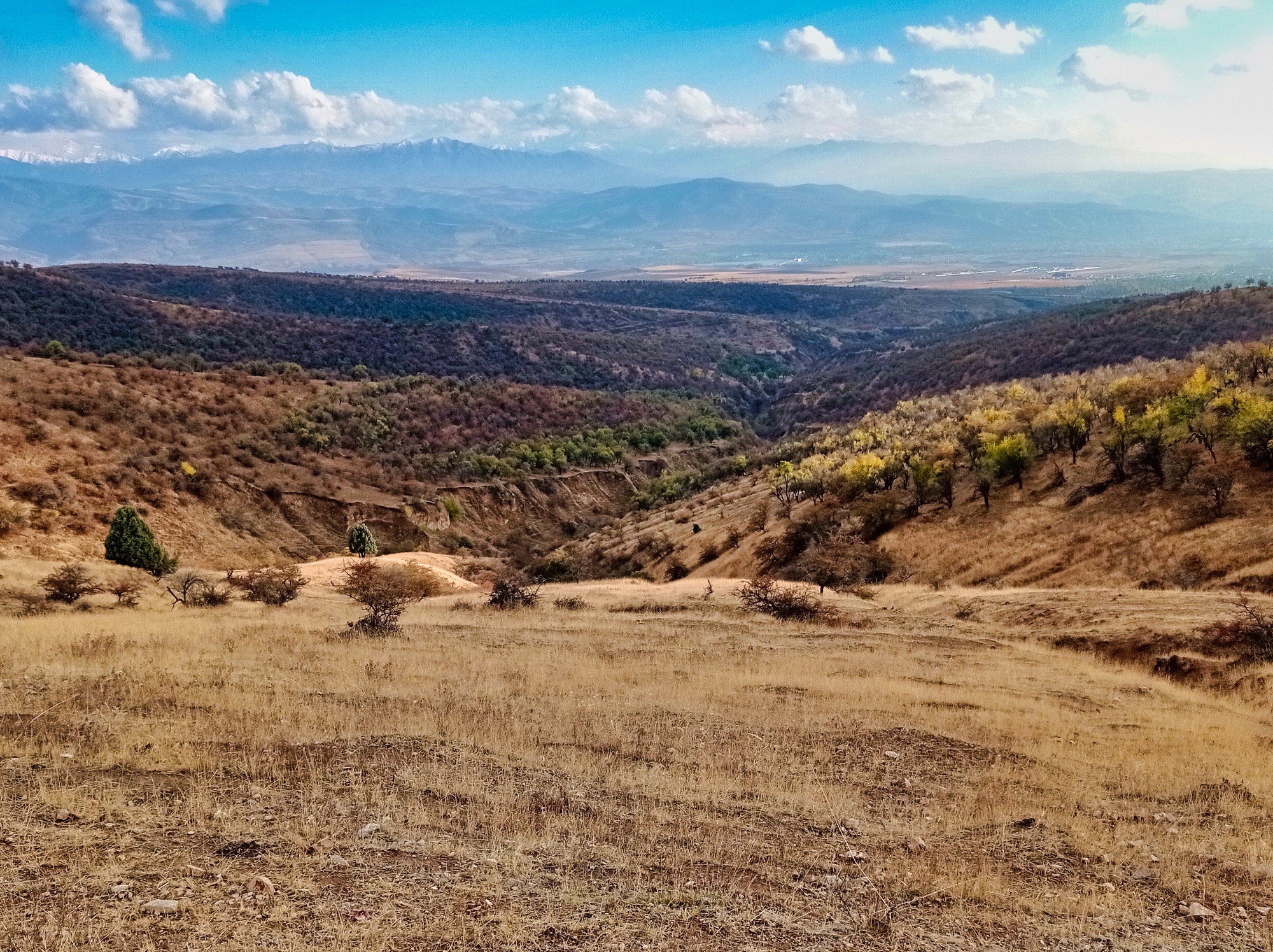 Kuzgi Aqtosh o‘rmoni — Toshkentdan 1 kunlik — photo 4