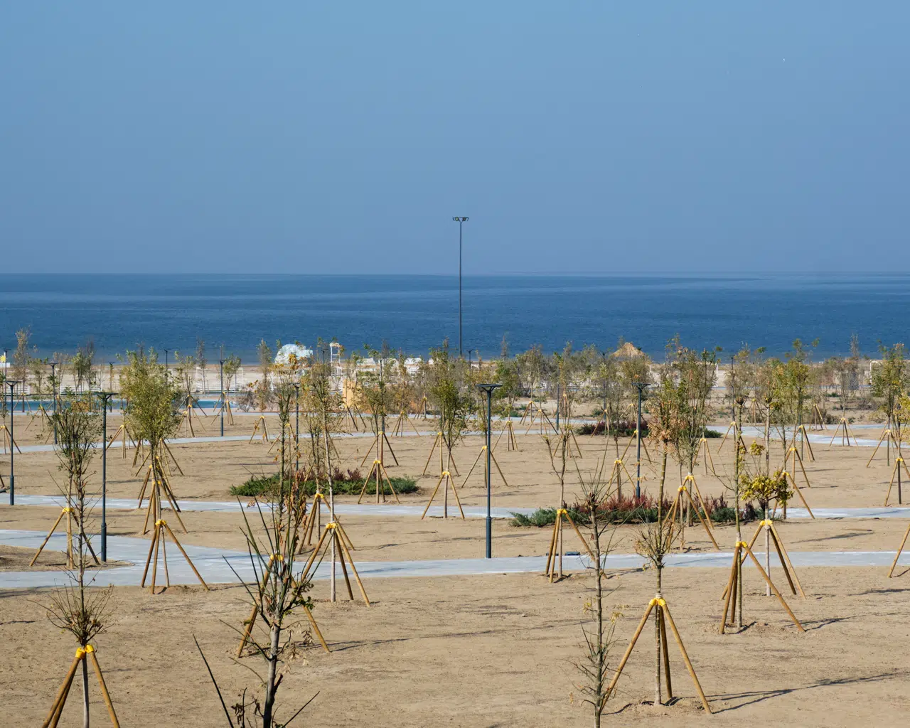 Aydarko‘l Resort — ko‘l bo‘yida 2 kun / 1 tun — photo 8