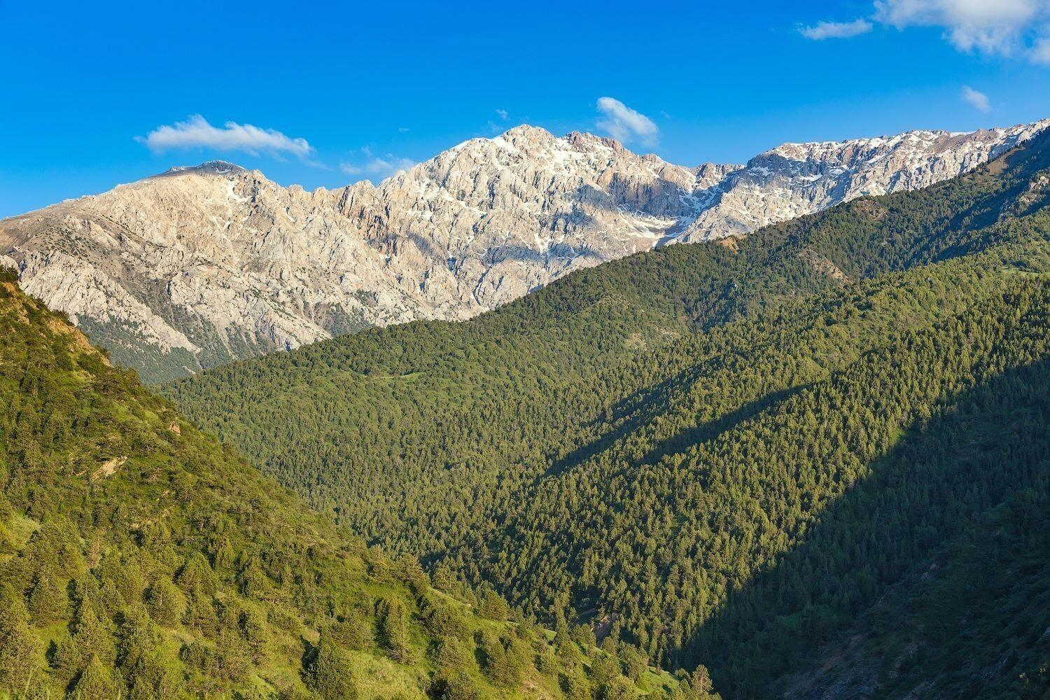 Sinegorye — 1 kunlik tog‘ sayohati (Toshkentdan) — photo 3 of 4
