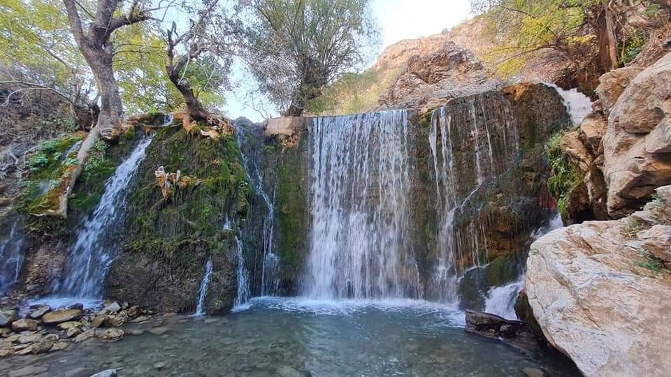 Charvak atrofida sayohat — 1 kunlik tur (Toshkentdan) — photo 4 of 6