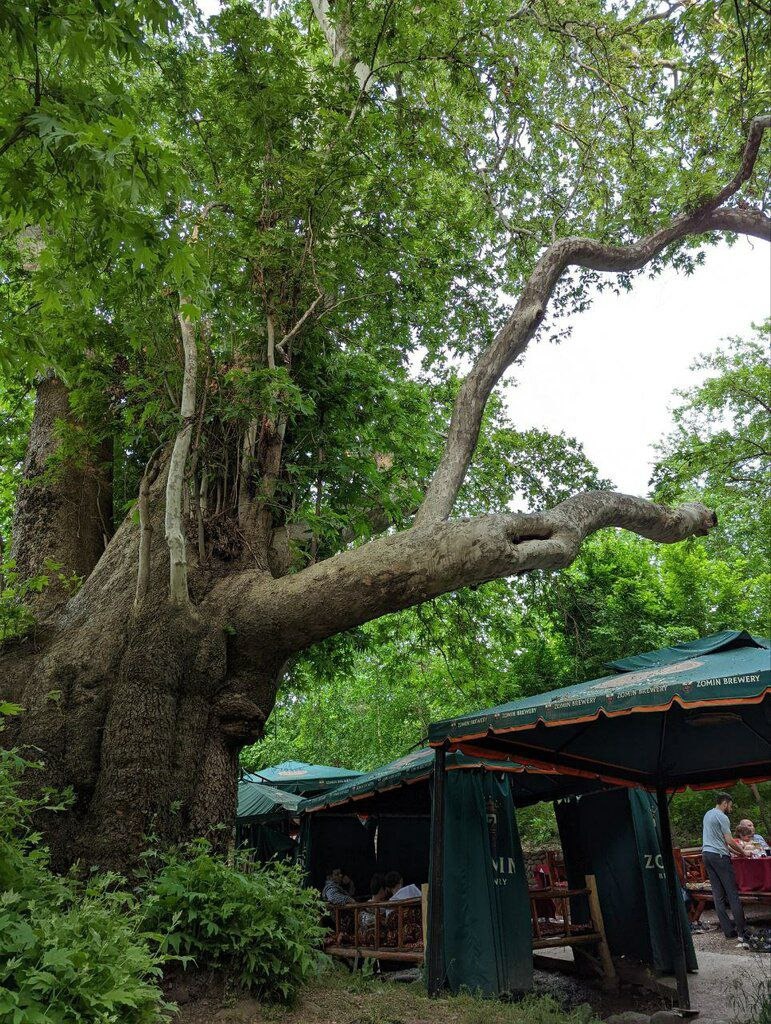 Charvak atrofida sayohat — 1 kunlik tur (Toshkentdan) — photo 5 of 6