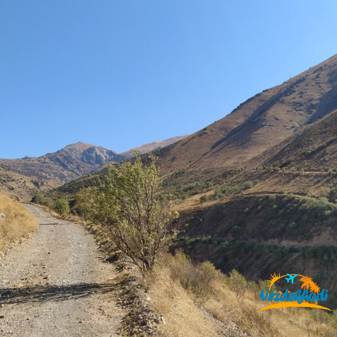 Paltau sharsharasi va Obirahmat g‘ori — Toshkentdan 1 kunlik — photo 3