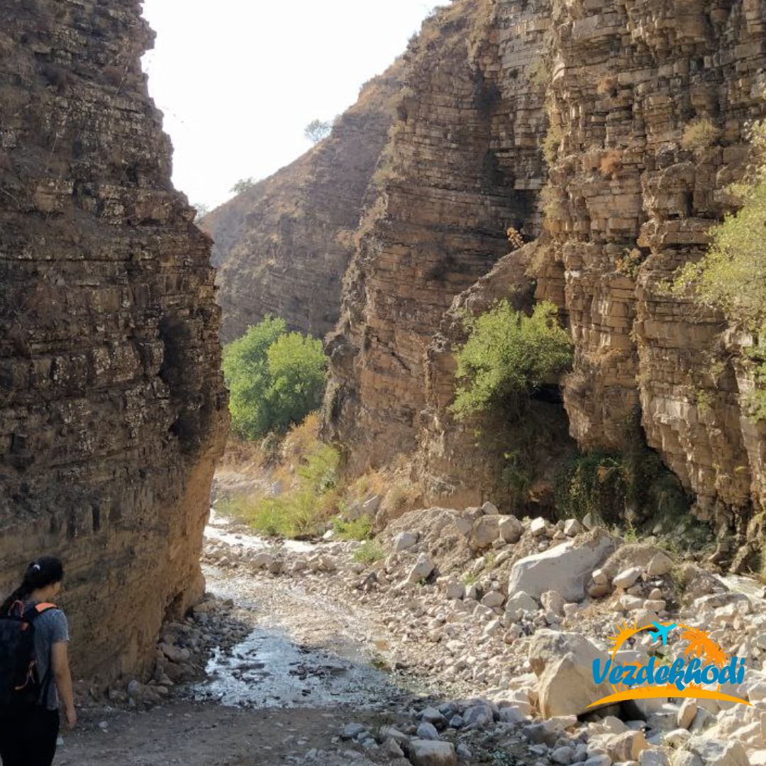 Paltau sharsharasi va Obirahmat g‘ori — Toshkentdan 1 kunlik — photo 4