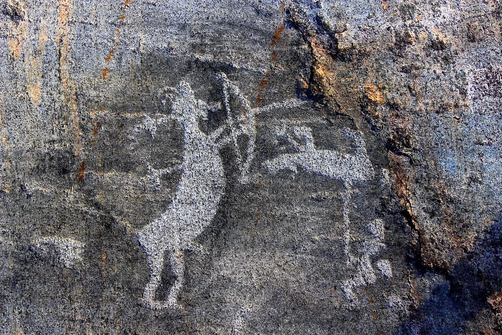 Kiyik fermasi — oilaviy sayohat (Toshkentdan) — photo 2
