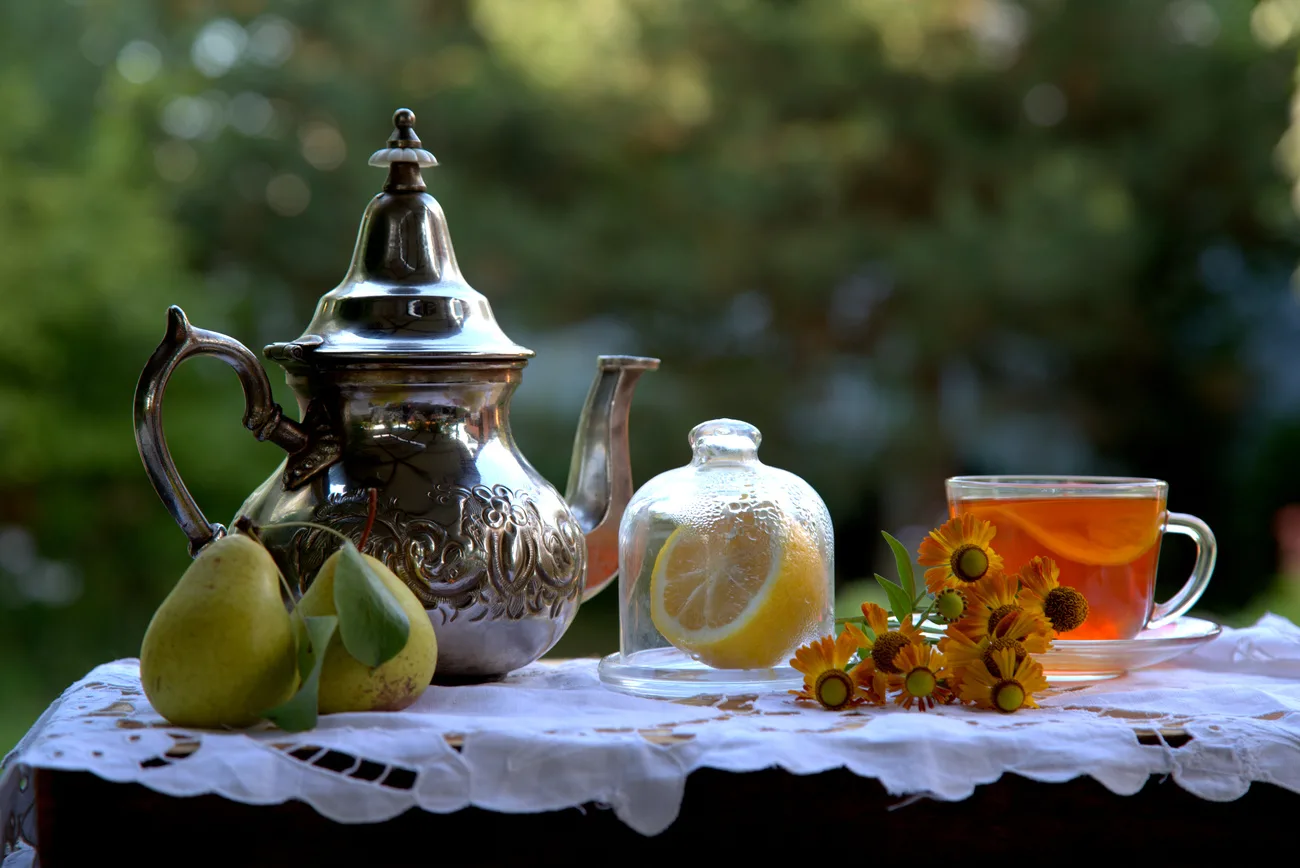 Kiyik fermasi — oilaviy sayohat (Toshkentdan) — photo 7